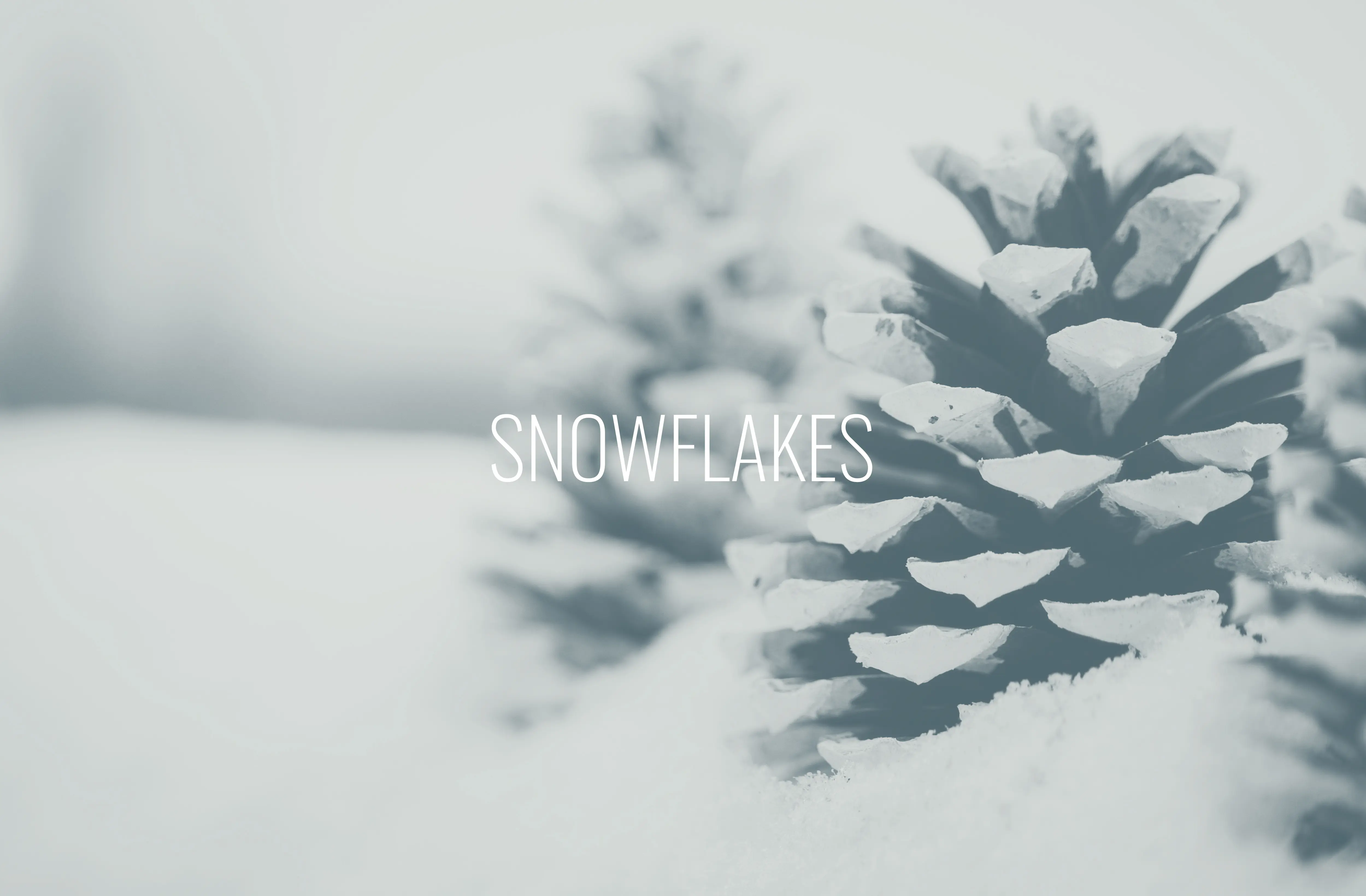 Featured image for “Snowflakes”