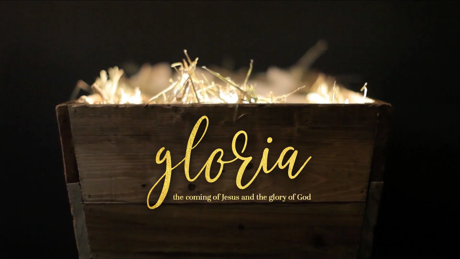 Featured image for “Gloria”