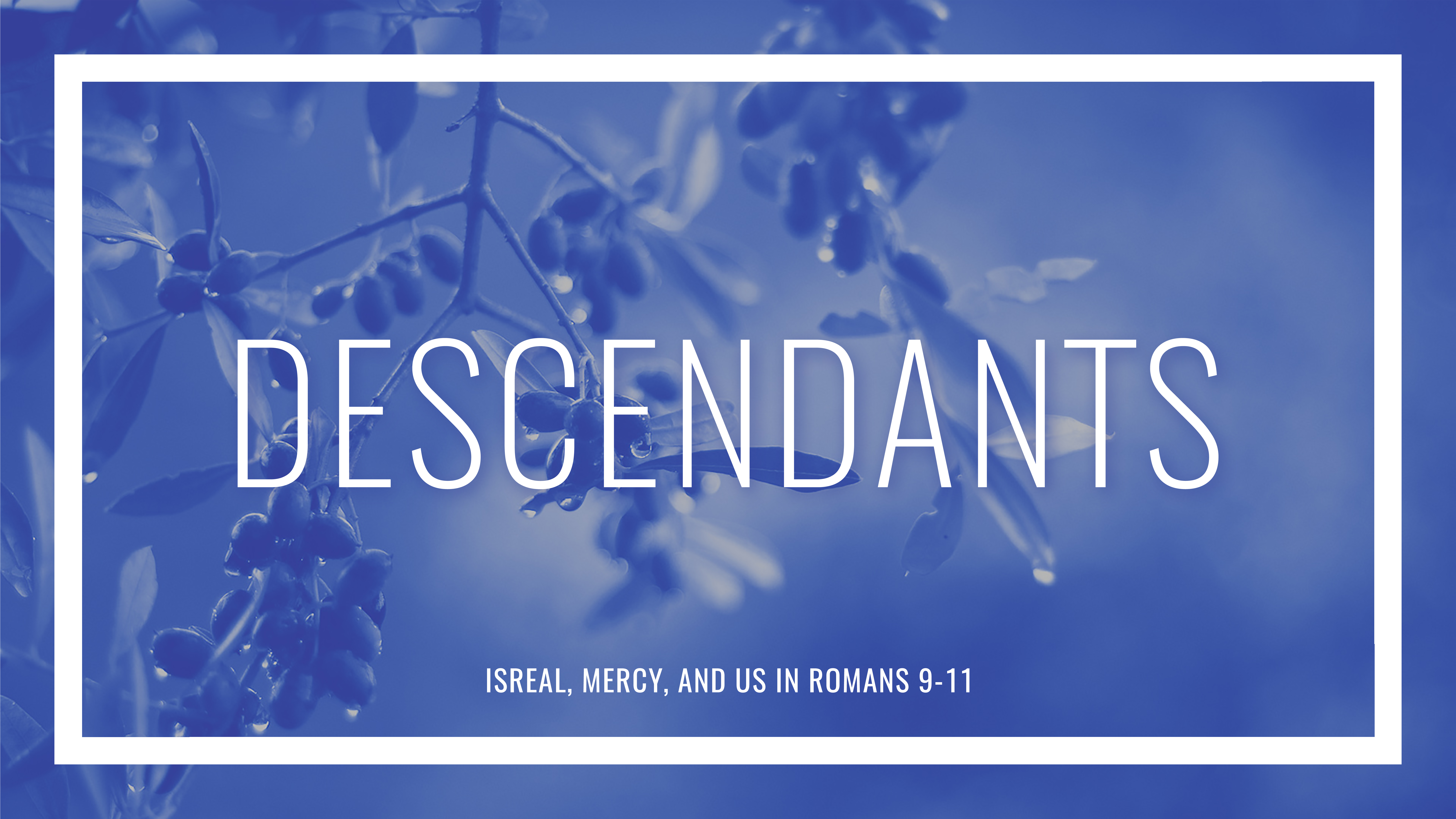 Featured image for “Descendants”