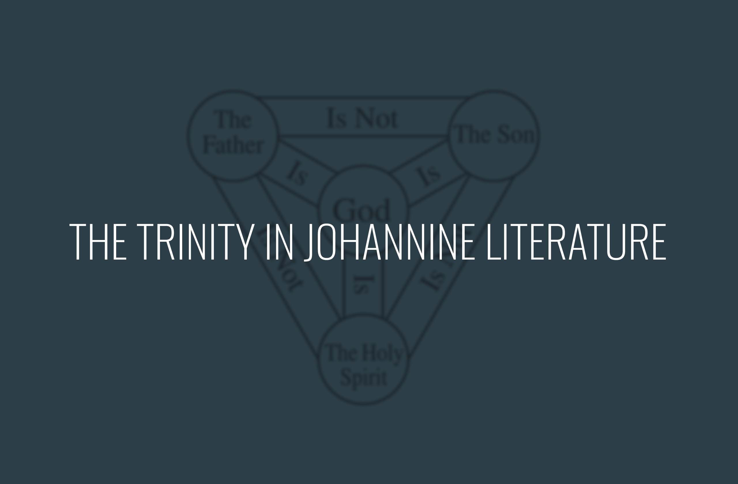 Featured image for “The Trinity in Johannine Literature”